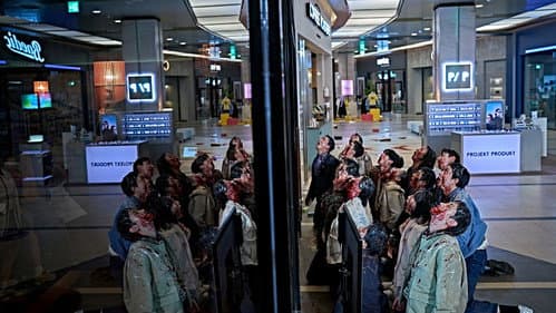 Colony